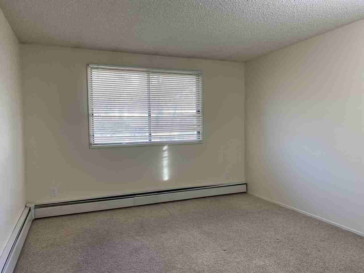 7301 4a St Sw #A105 - Photo 7 of 12