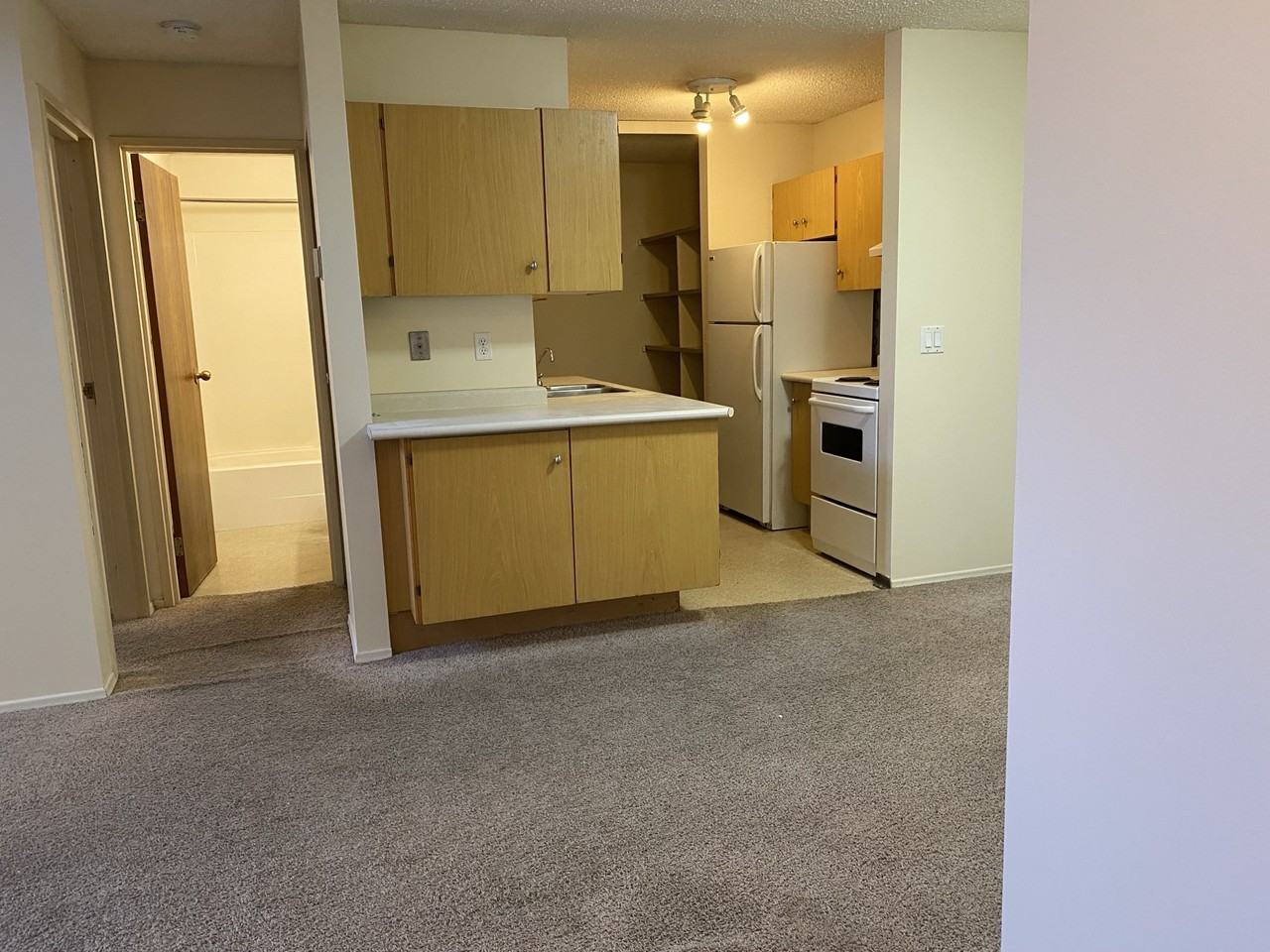 7301 4a St Sw #A303 - Photo 3 of 12