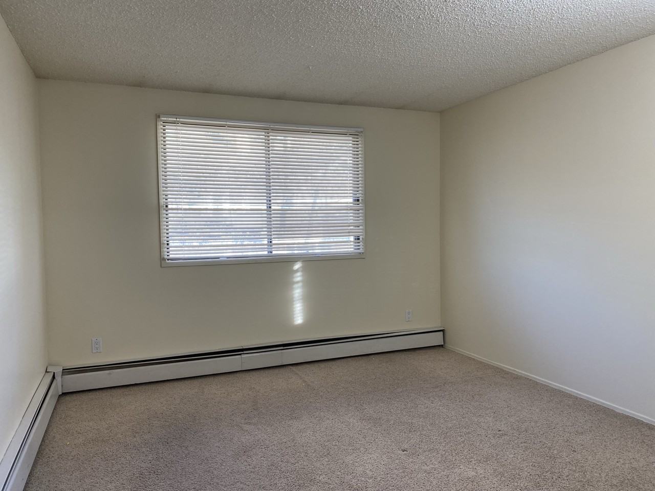 7301 4a St Sw #A303 - Photo 7 of 12