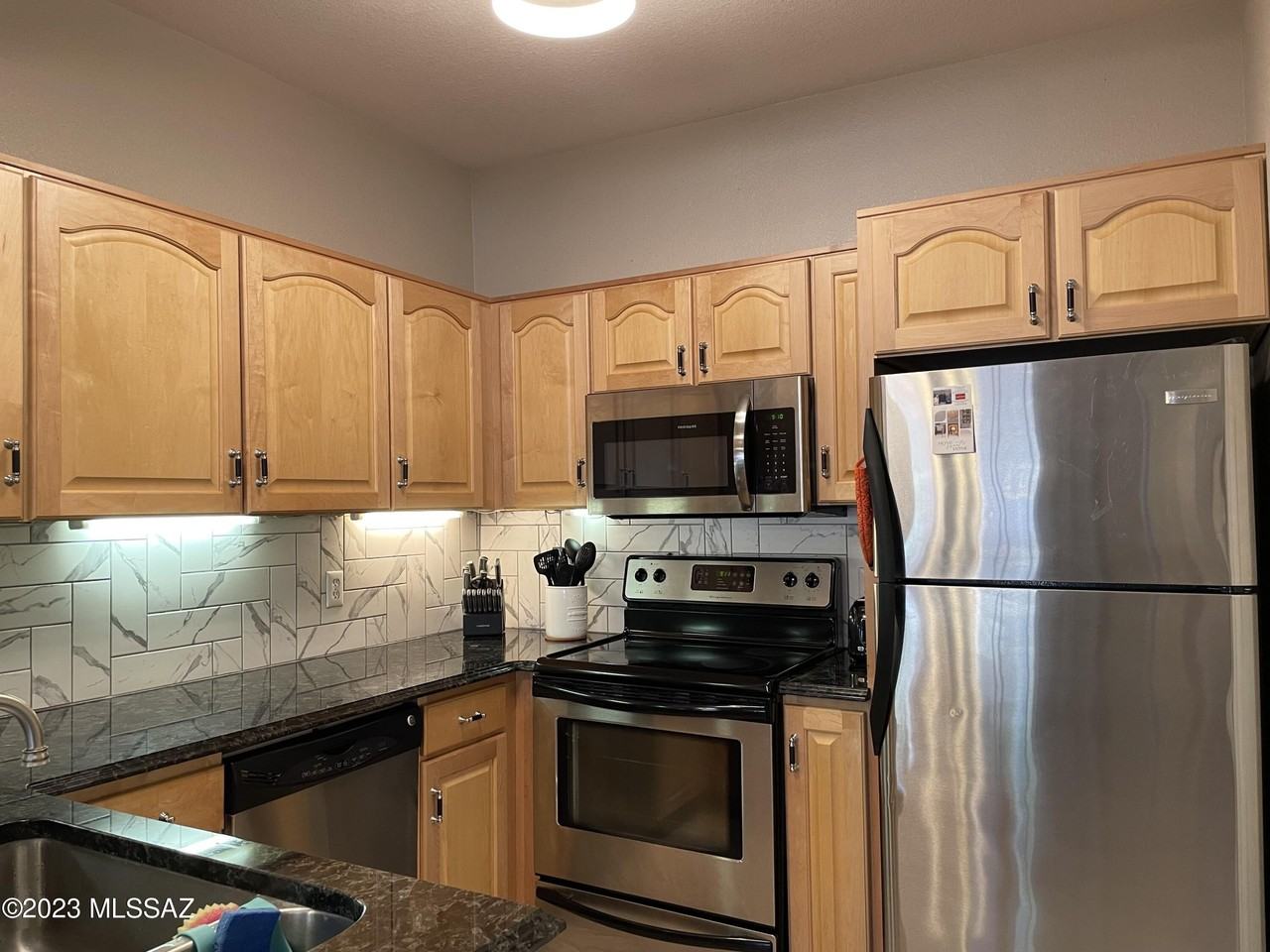 1500 E Pusch Wilderness Dr #11203 - Photo 3 of 24