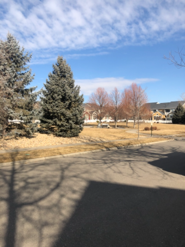 4018 Independence Dr - Photo 5 of 29