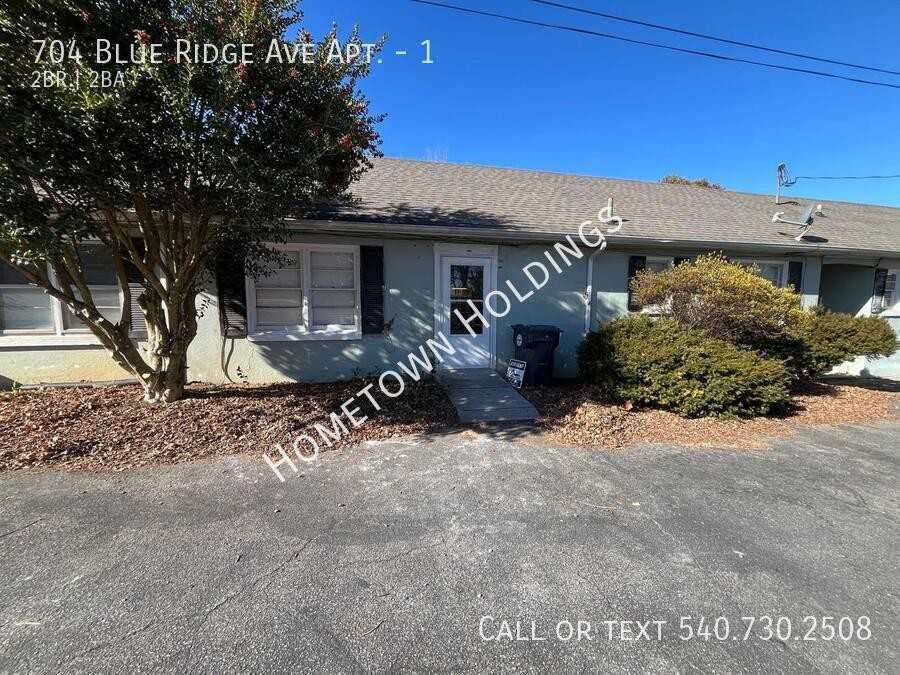 704 Blue Ridge Ave #1 - Photo 2 of 12