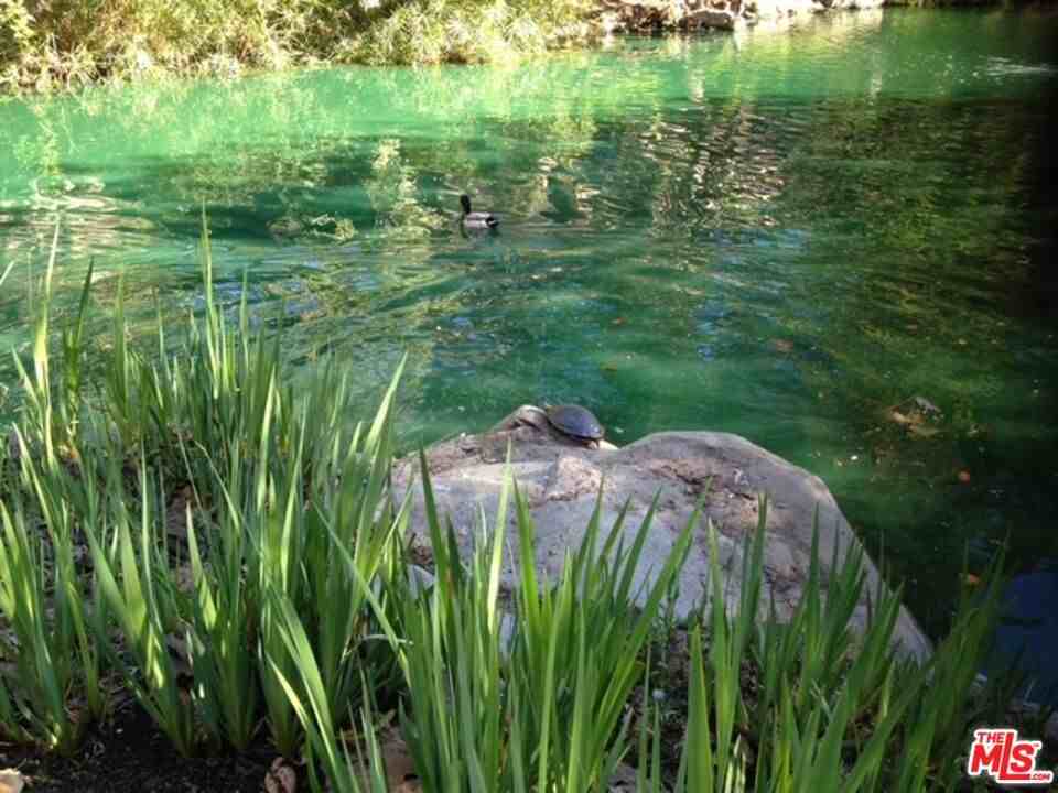 1115 Raintree Cir #1115 - Photo 3 of 10