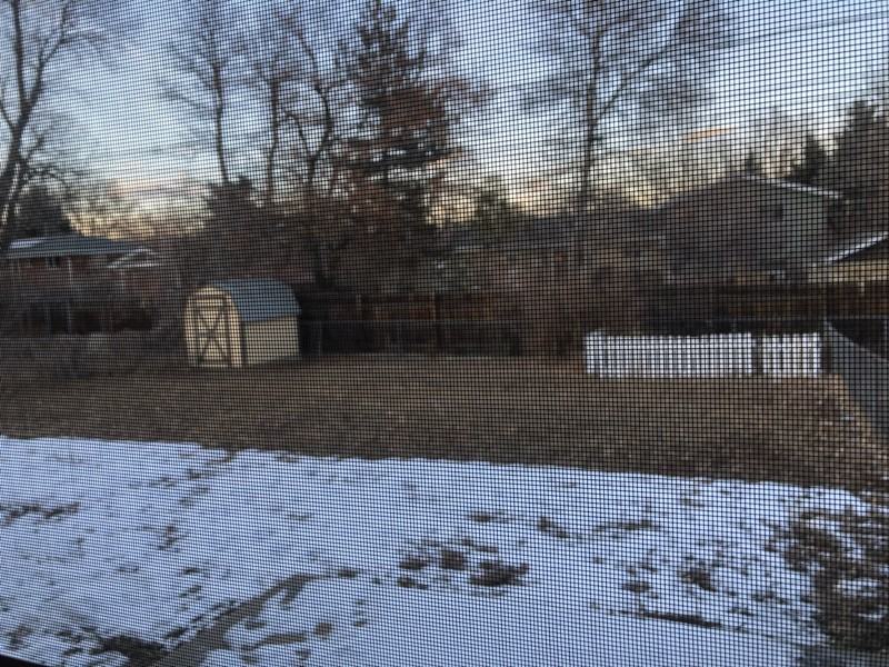 11255 W 46th Pl - Photo 7 of 10