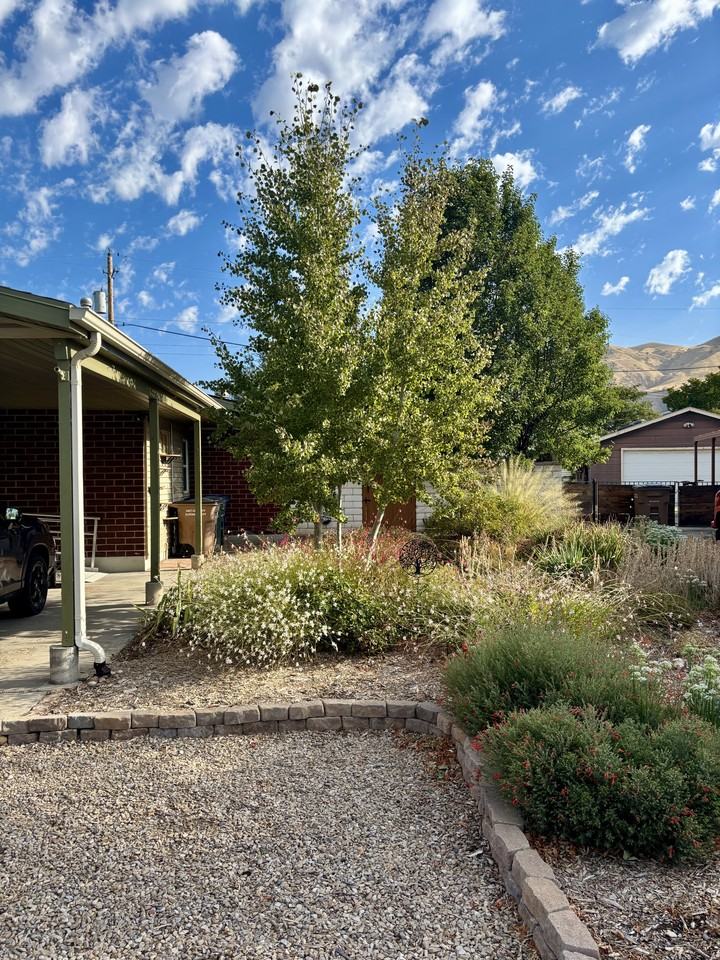 1146 N Taffeta Dr #NA - Photo 2 of 17