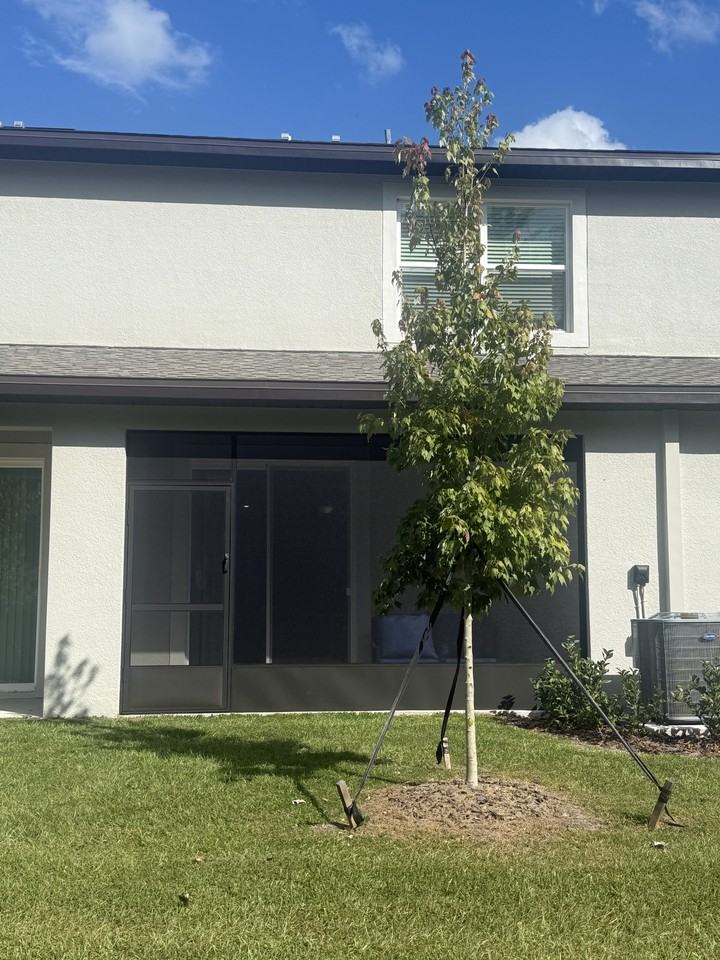 11143 Wishing Cloud Rd - Photo 2 of 19