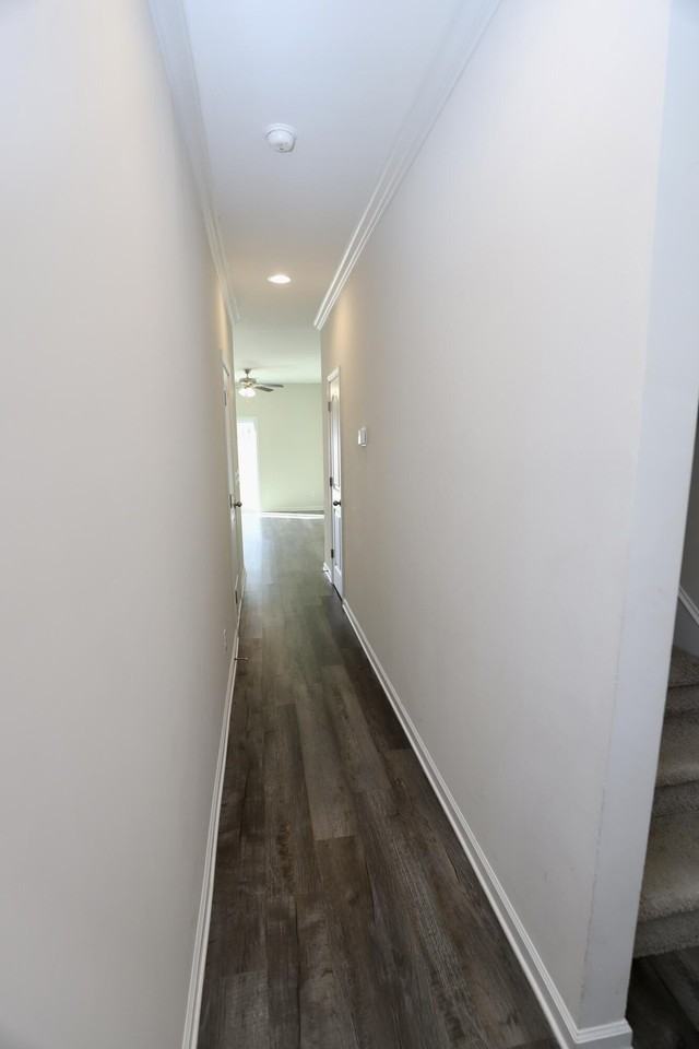 1854 Gabriel Ln - Photo 7 of 50