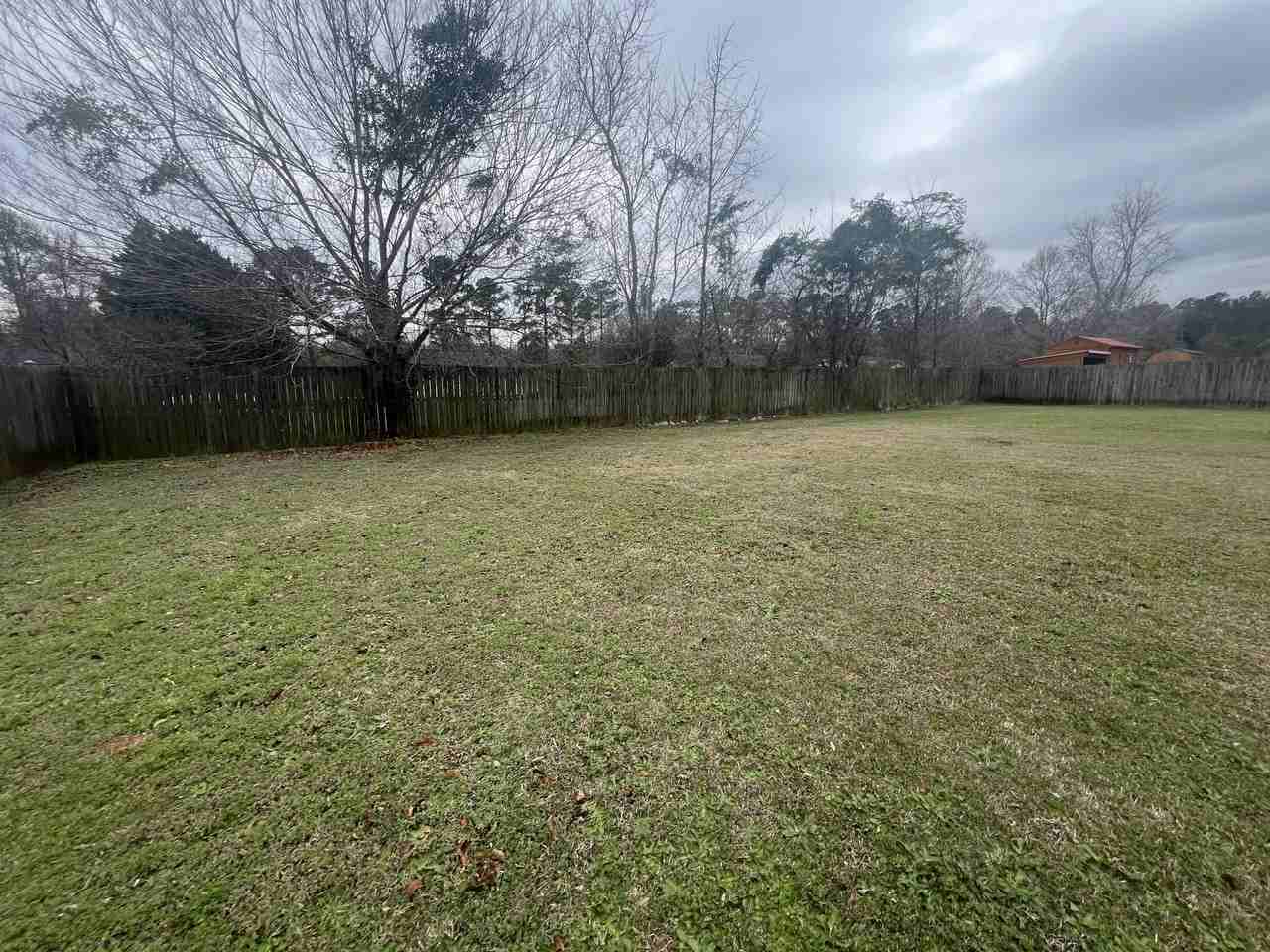 4460 Maxie St - Photo 7 of 41