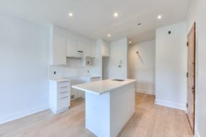 featured image of 2645 Boulevard Pie-IX #2