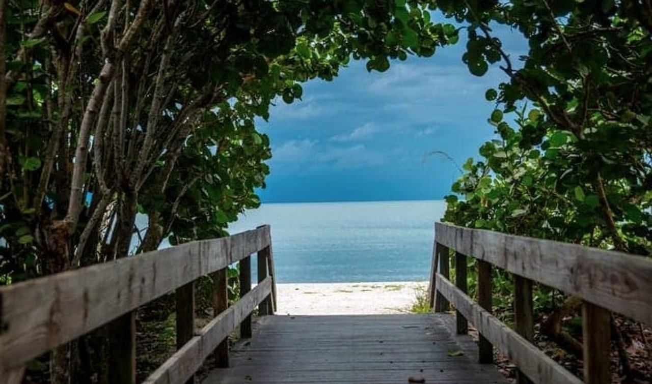 172 Vintage Cir #202 - Photo 2 of 50