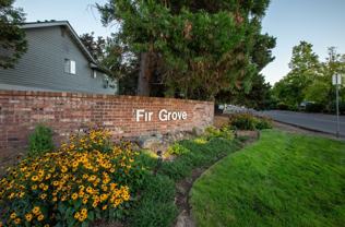 Fir Grove Apartments - Photo 1 of 1