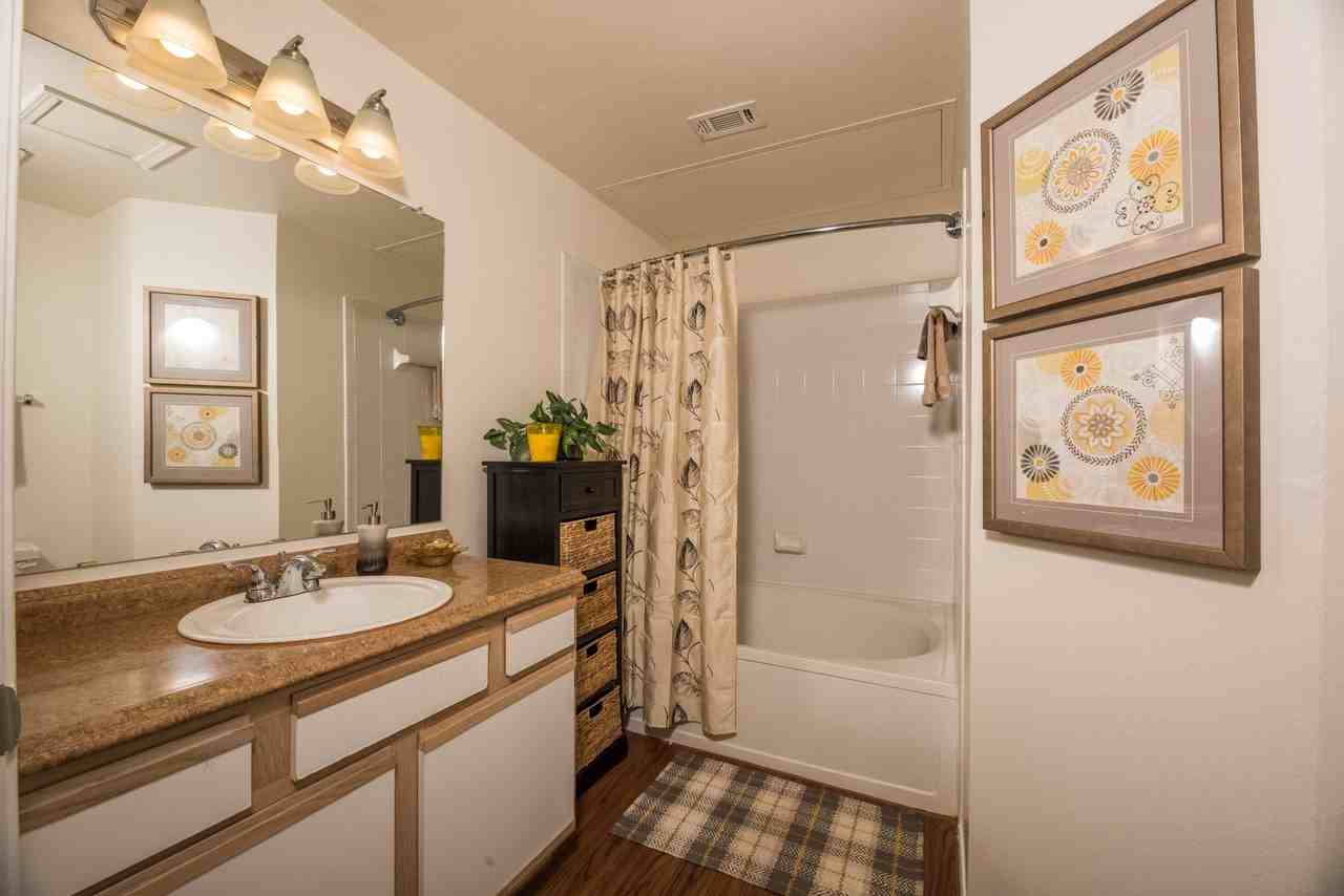 Sonterra at Buckingham - Photo 6 of 24