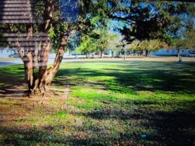 Carolyn Ct - Photo 1 of 1