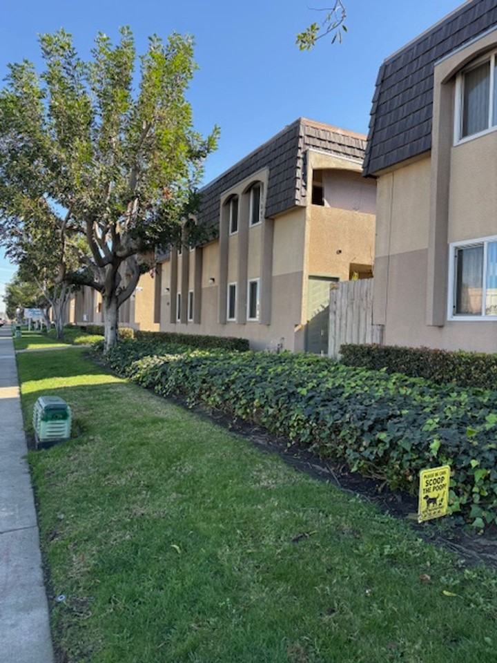 Large 2 bedroom Apartment in Clairemont - Photo 4 of 11