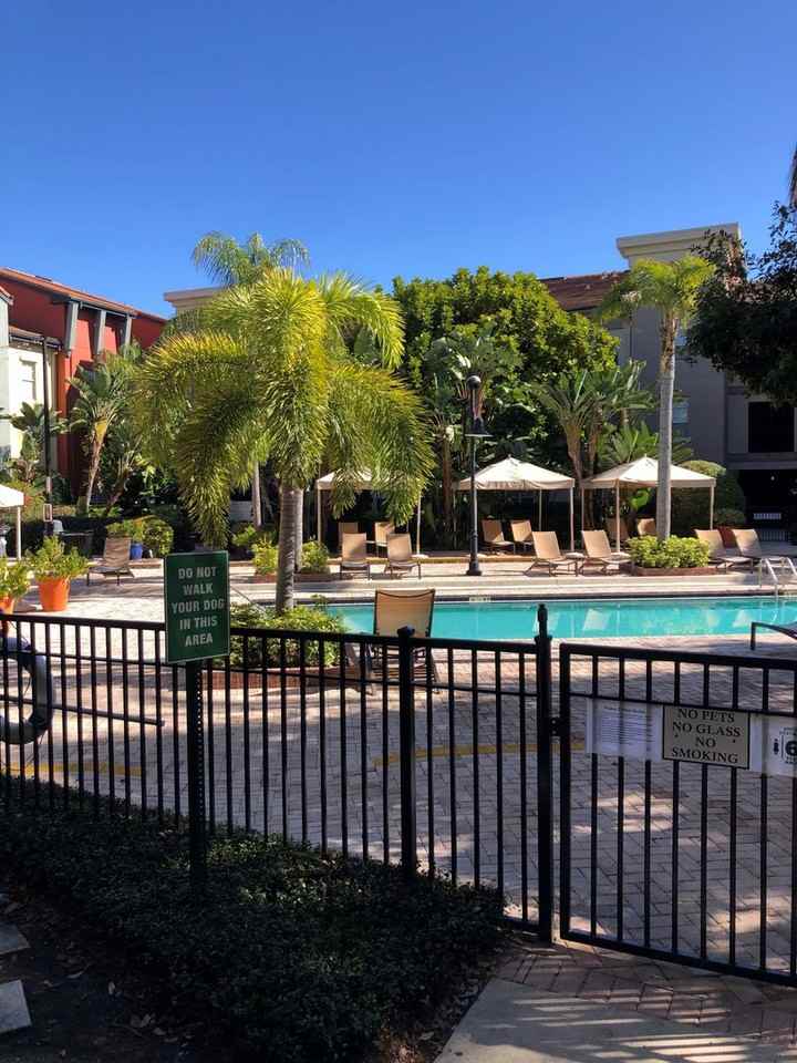 2411 W Horatio St #514 - Photo 4 of 22