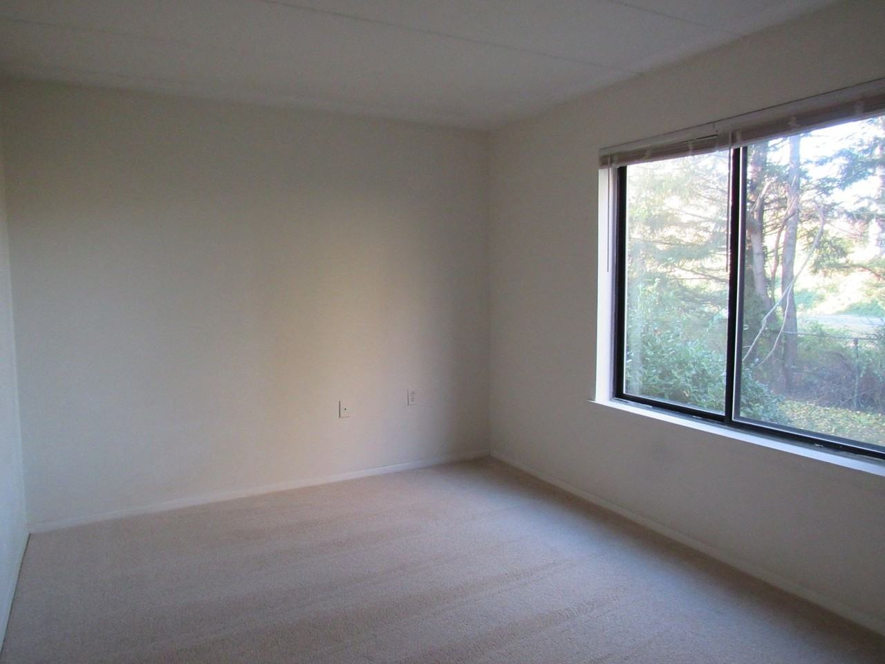 125H Clubhouse Dr Sw #5 - Photo 5 of 9