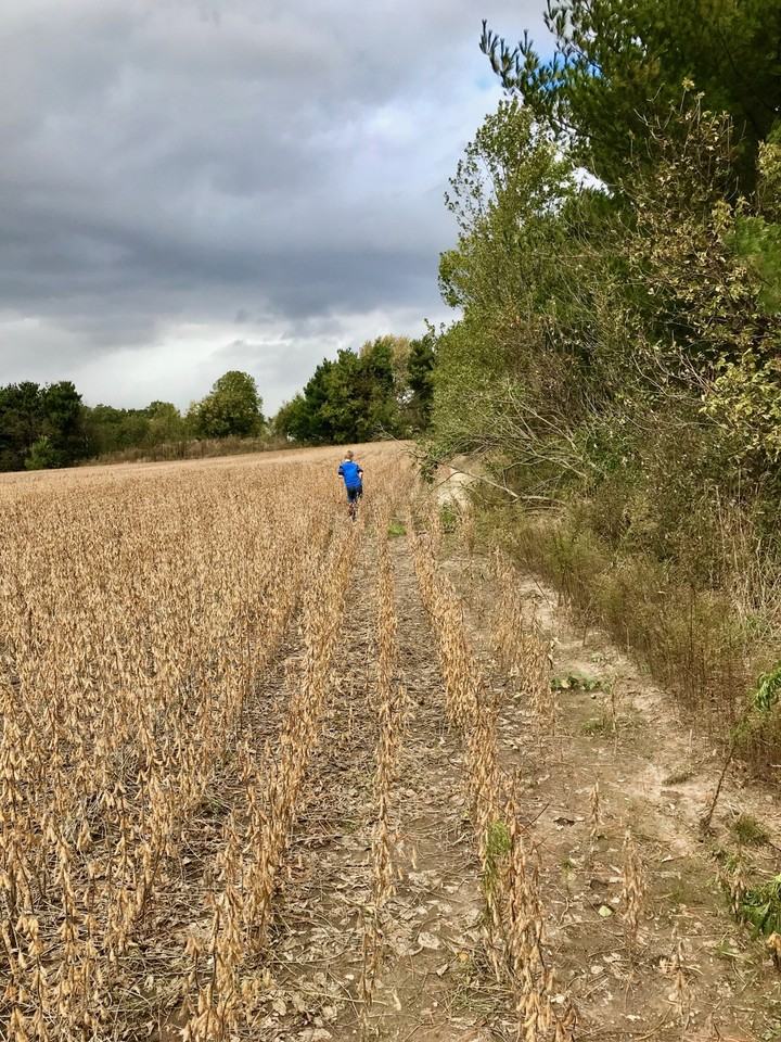 6727 U.S. 231 - Photo 3 of 38