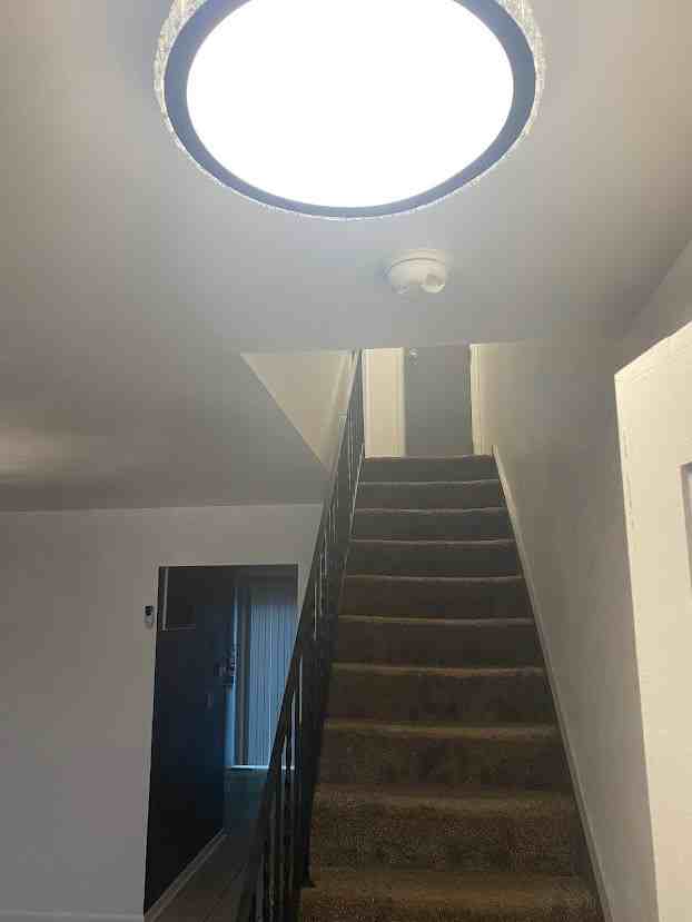 525 Bright Avenue - Photo 6 of 25