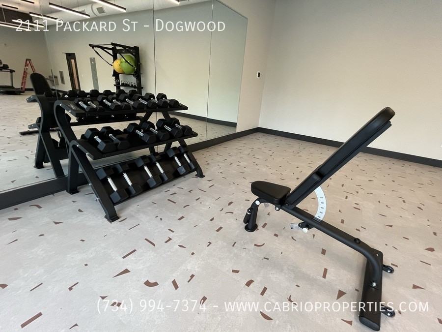 Packard Row - Photo 2 of 50