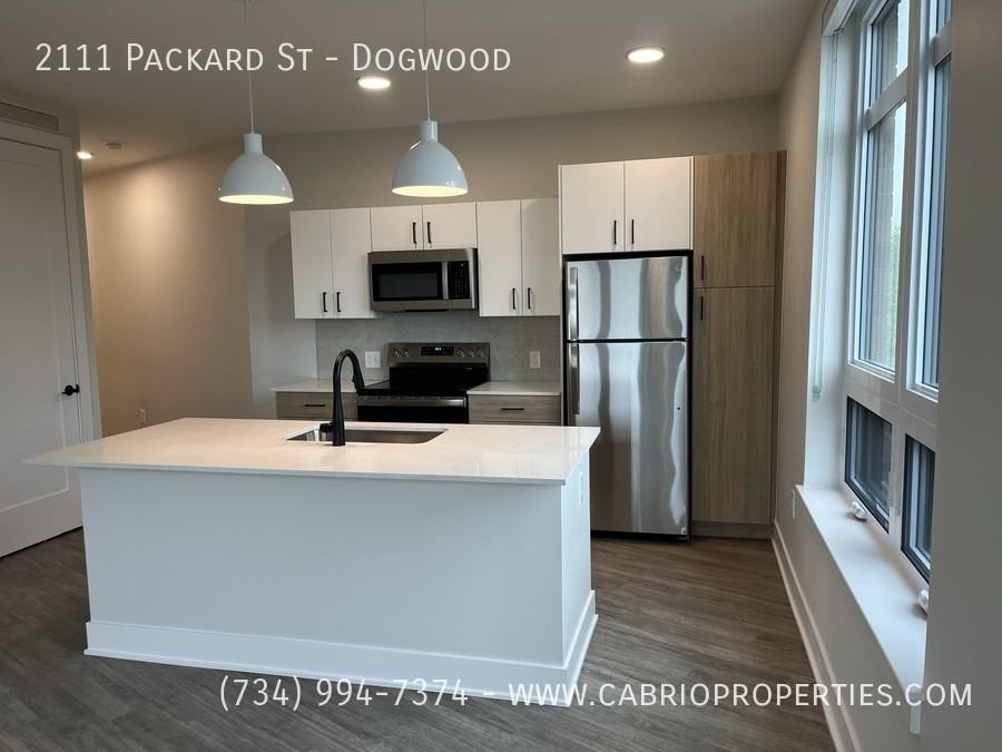 Packard Row - Photo 6 of 50