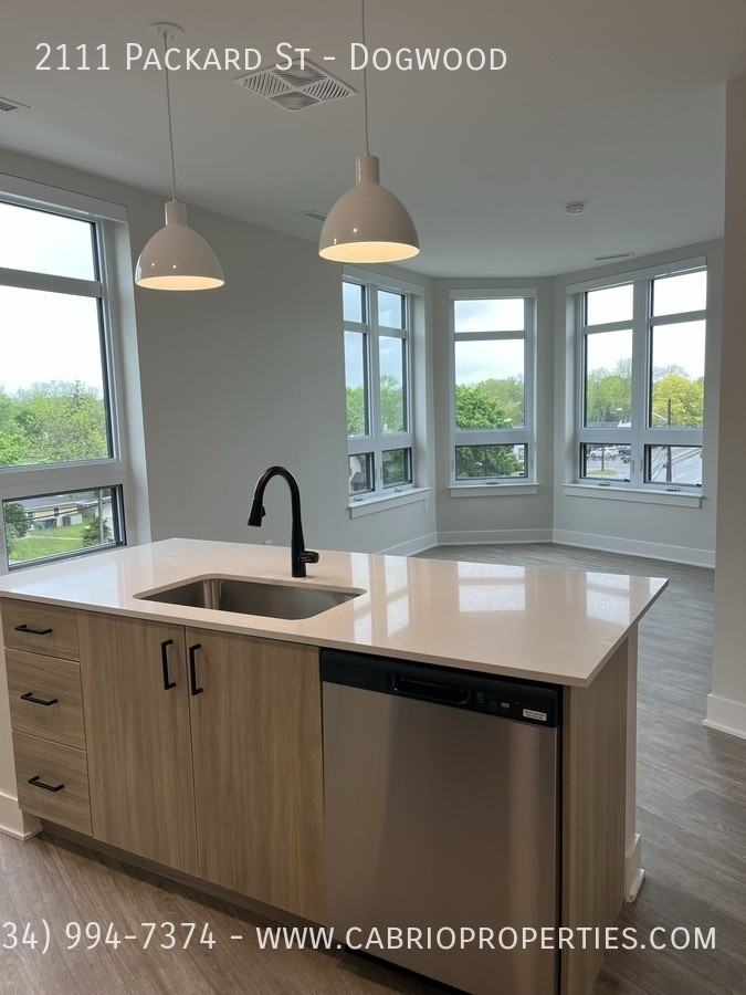 Packard Row - Photo 7 of 50