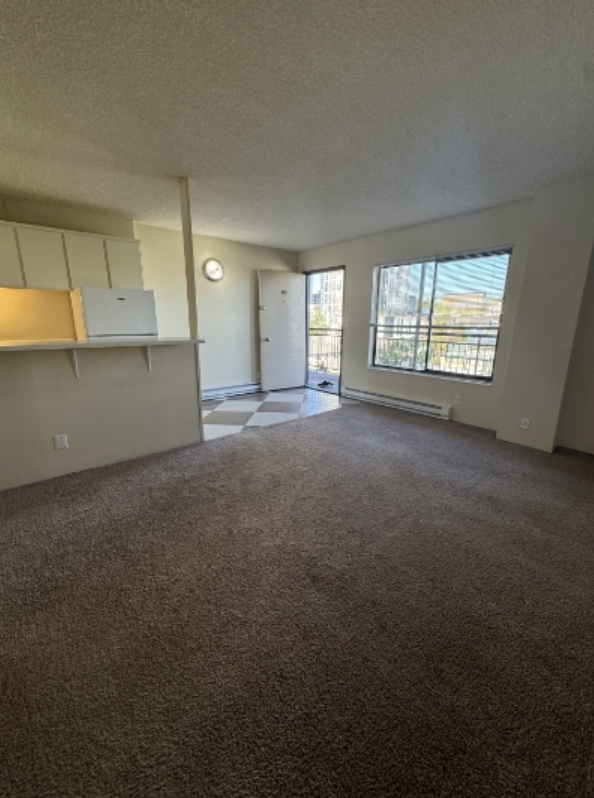 4131 11th Ave Ne #405