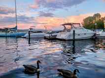 9500 Rainier Ave S #309 - Photo 1 of 1