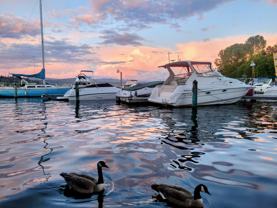 9500 Rainier Ave S #309 - Photo 1 of 1