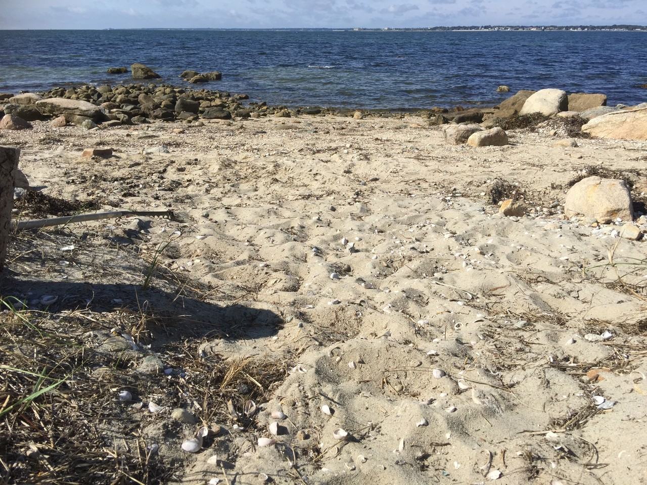 29 Silver Shell Beach Dr #1 - Photo 3 of 9