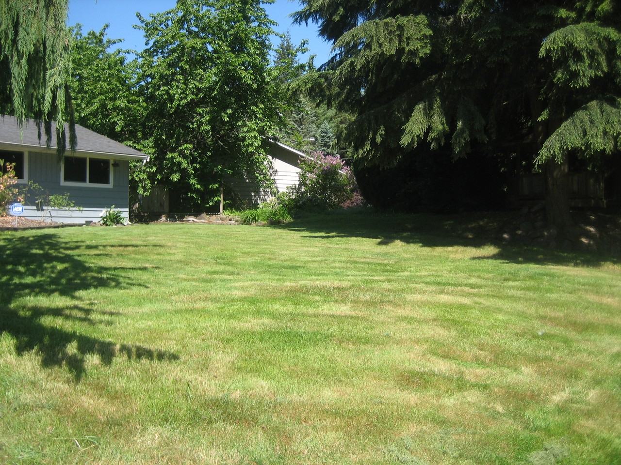 13304 209th Ave Se - Photo 3 of 22