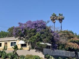 featured image of 7102 Mohawk St