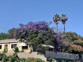 7102 Mohawk St. - Photo 1 of 1