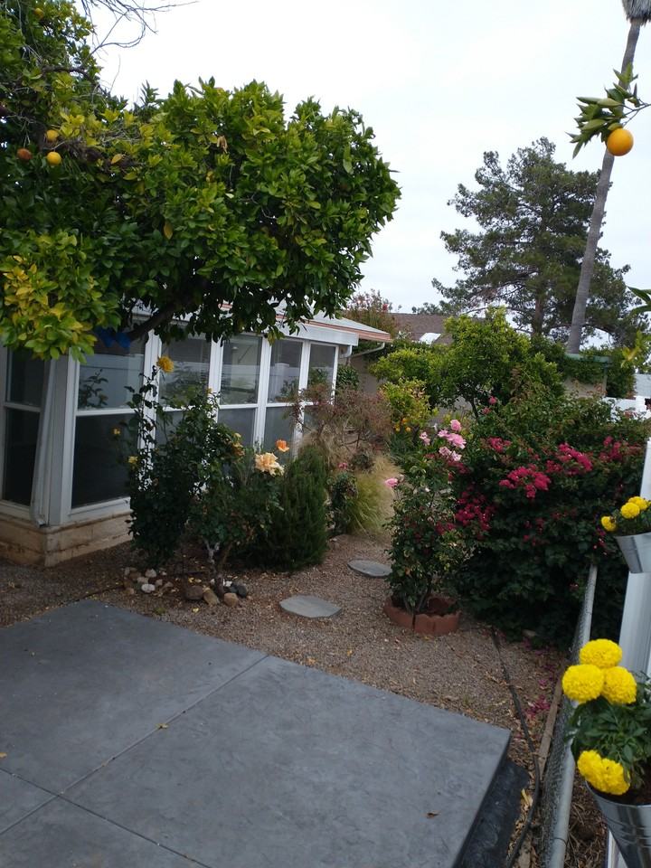 1907 Clover Way #NA - Photo 3 of 16