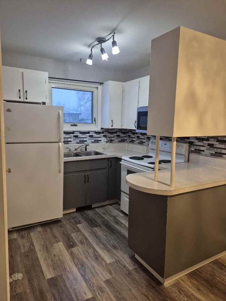 245 Edward St #1 - Photo 6 of 17