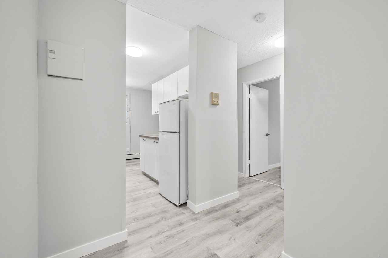 Black Forest Apartments - Photo 3 of 22