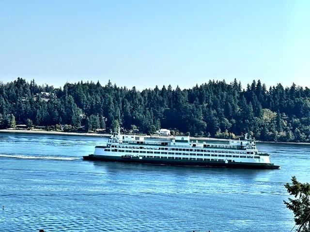 5960 Watauga Beach Dr E #1 - Photo 5 of 29