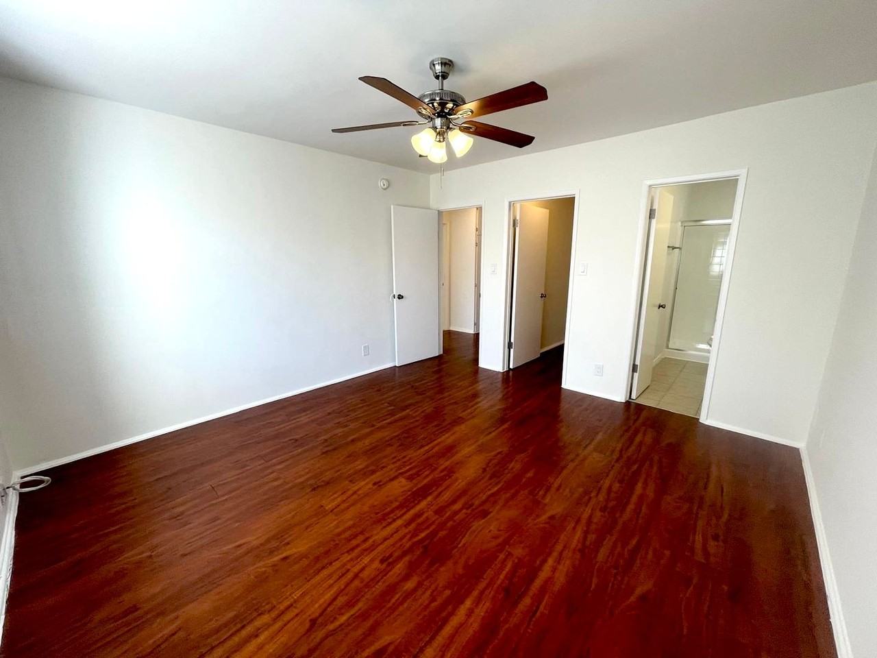 lan8145 - Photo 7 of 18