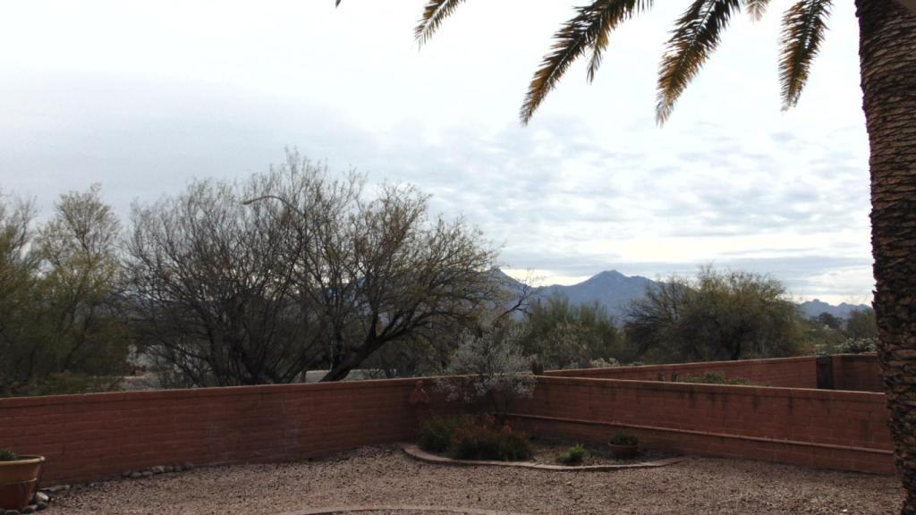 925 S Camino Del Monte - Photo 2 of 13