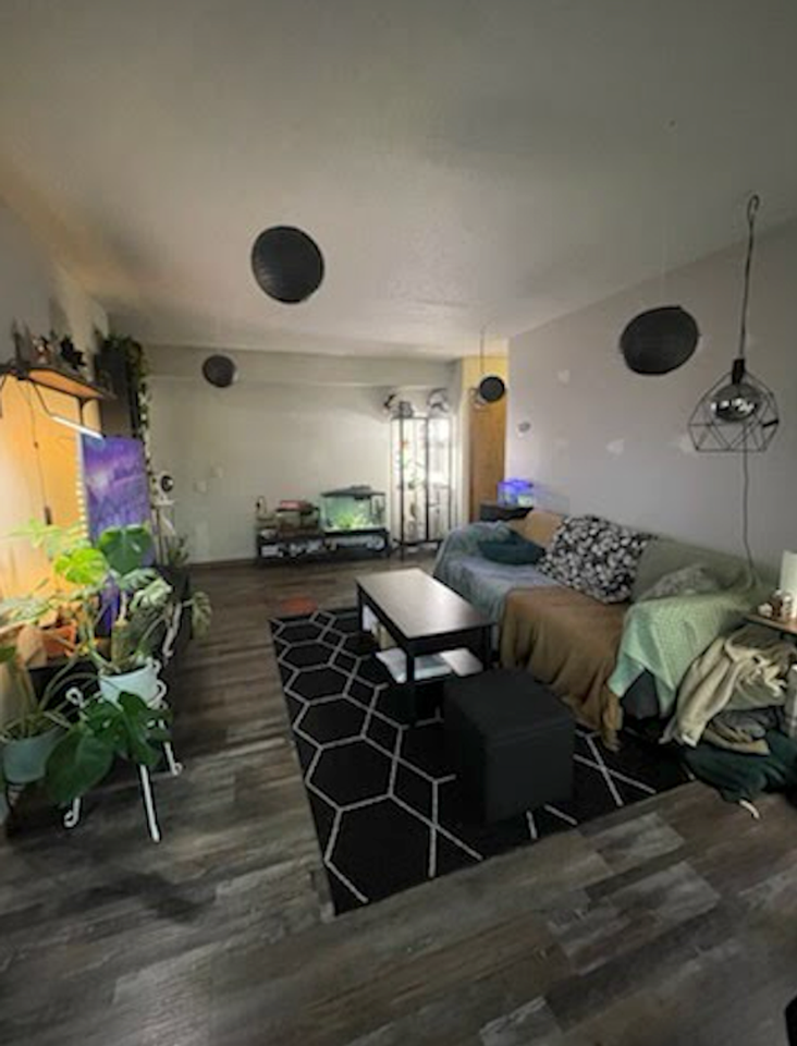 10340 Viking Dr #1051 - Photo 3 of 11