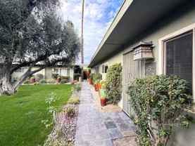 692 692 Chuckwalla  - 05 #05 - Photo 1 of 1