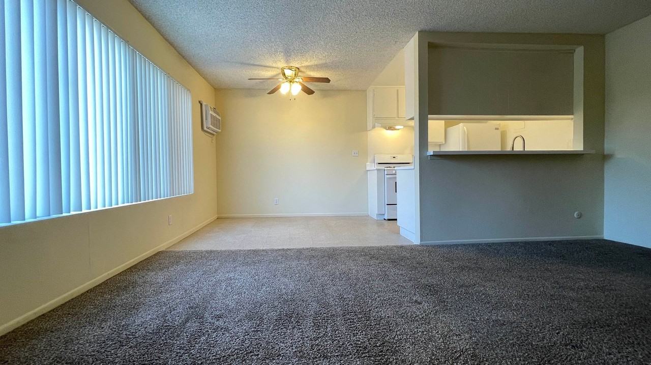 11955 Weddington St - Photo 4 of 50