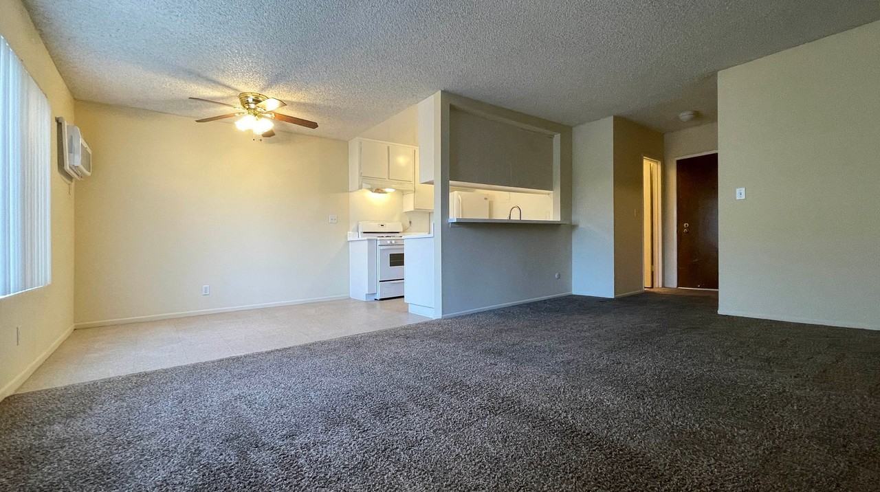 11955 Weddington St - Photo 5 of 50