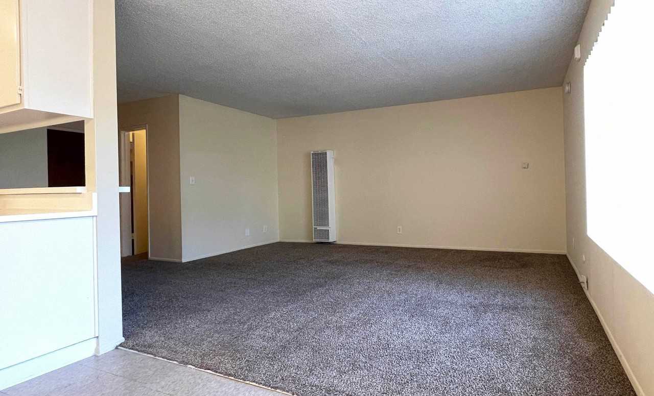 11955 Weddington St - Photo 2 of 50