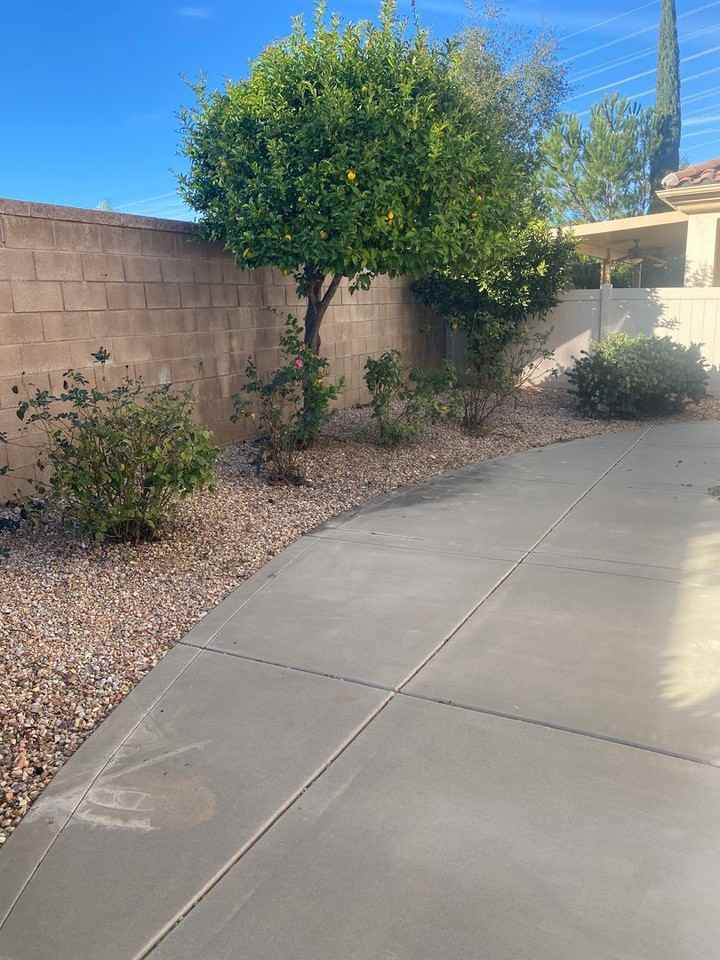 1665 Hibiscus Ct - Photo 7 of 17