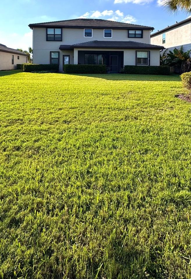 19641 The Place Blvd - Photo 2 of 32