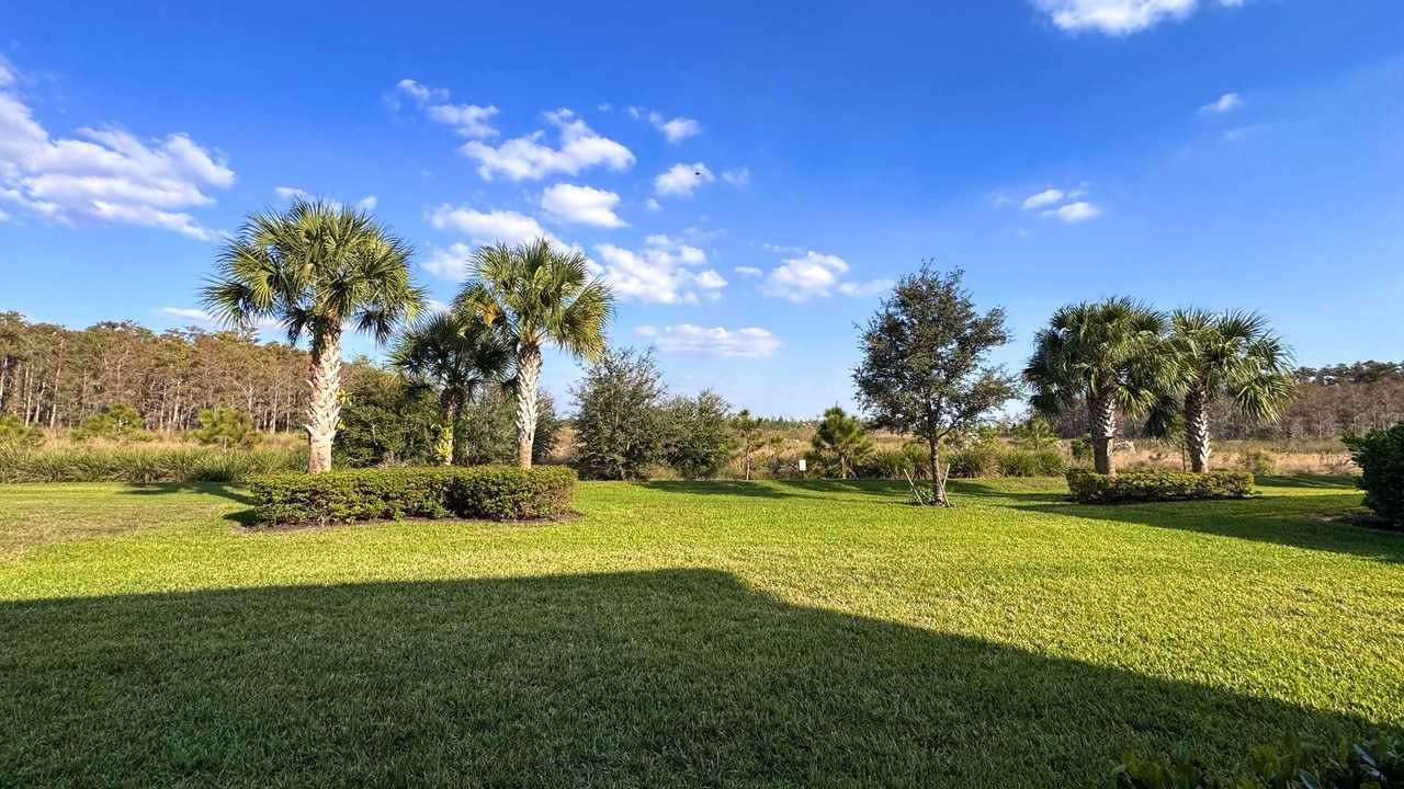 19641 The Place Blvd - Photo 3 of 32