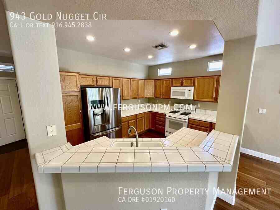 943 Gold Nugget Cir - Photo 3 of 17