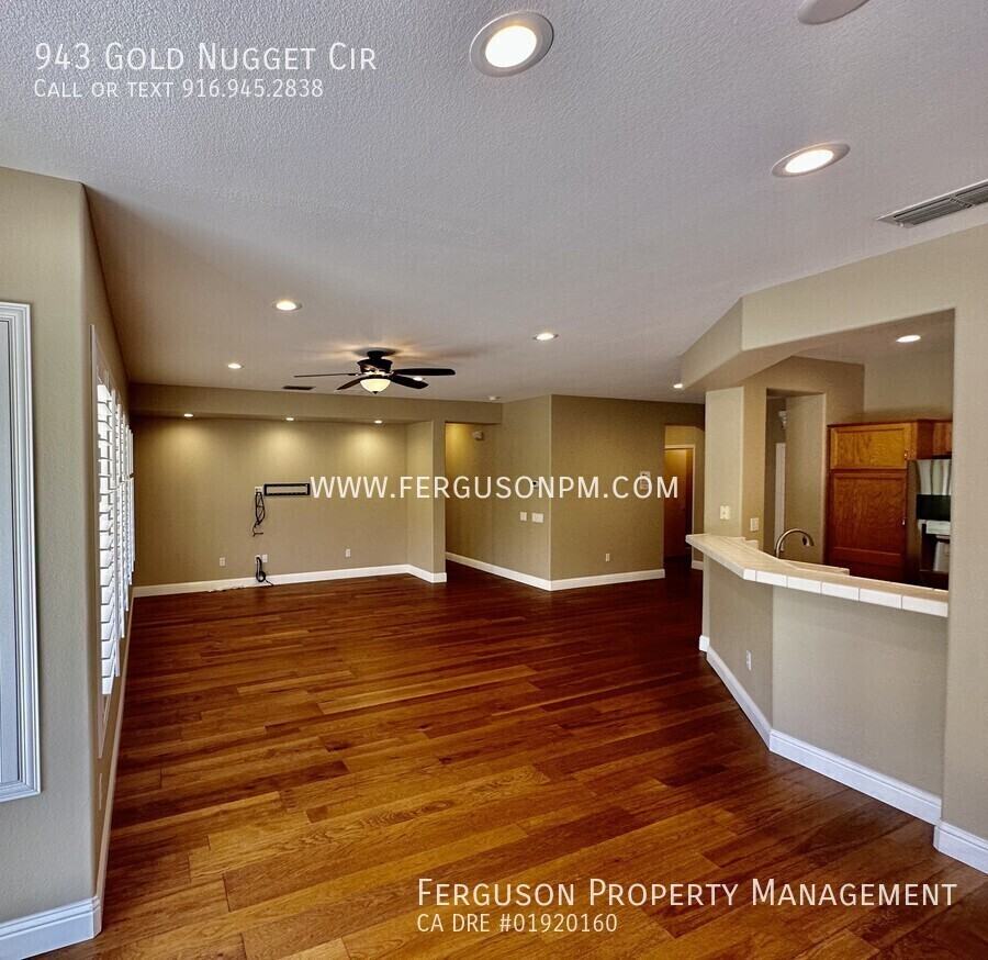 943 Gold Nugget Cir - Photo 6 of 17