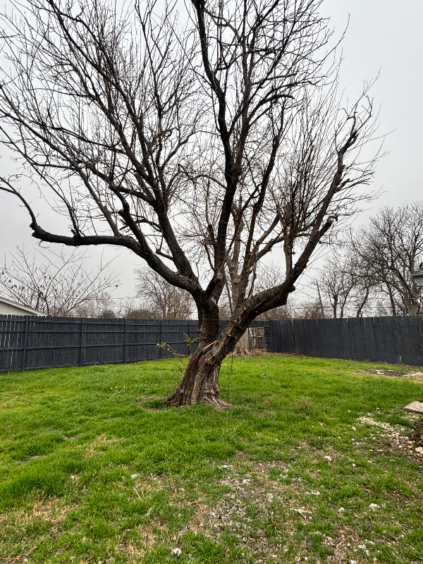 3950 Ambrose Cir - Photo 6 of 9