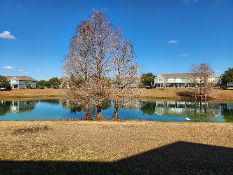 4962 Sw 45th Cir - Photo 2 of 19